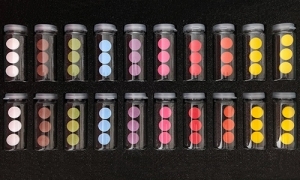 Musterkasten Biogrund