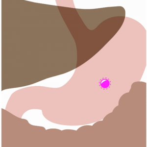 Enteric Coating Stomach