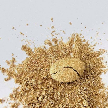 CompactCel® DIS Disintegrant natural / organic